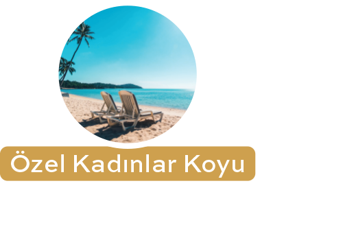 İkon